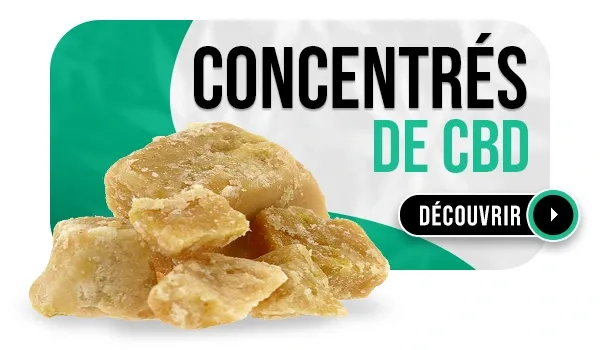 Concentrés de cbd