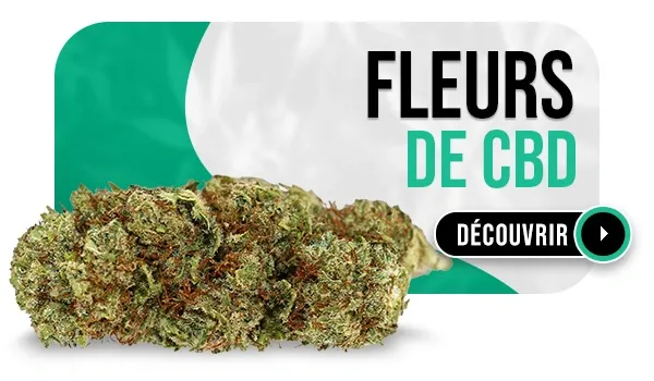 Fleurs de cbd