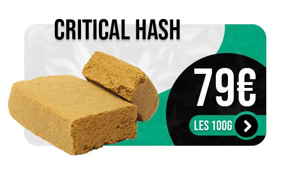 Critical Hash resine CBD