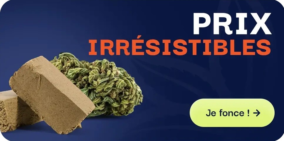 CBD pas chere offre du moment