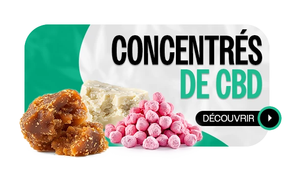 Concentrés de cbd