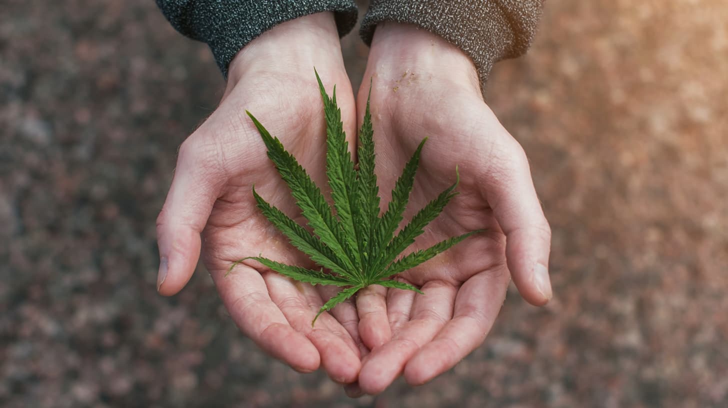 mains soulagées par le CBD