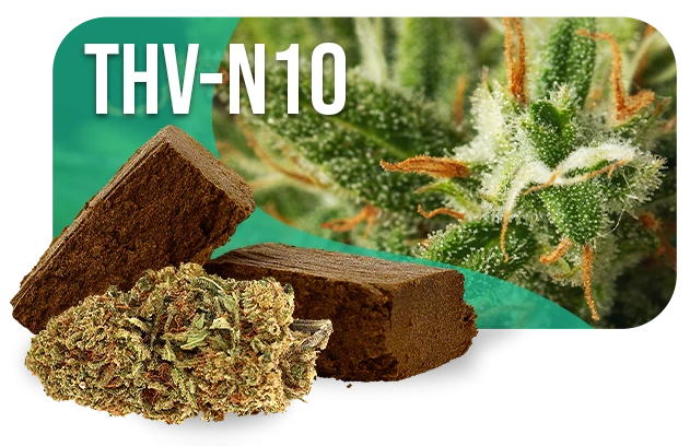 THV-N10