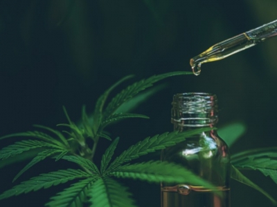 L'Huile de CBD : Méthodes et dosages pour maximiser les bienfaits