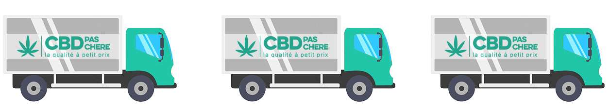 CBD-pas-chere-team